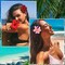 9PCS Hawaiian Flower Hair Clips for Women Hibiscus Flowers Hibiscus Hair Clip